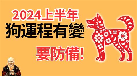 1970 屬狗2024 運勢|【2024狗年運程1970】2024狗年運程！1970年屬狗人運勢解析